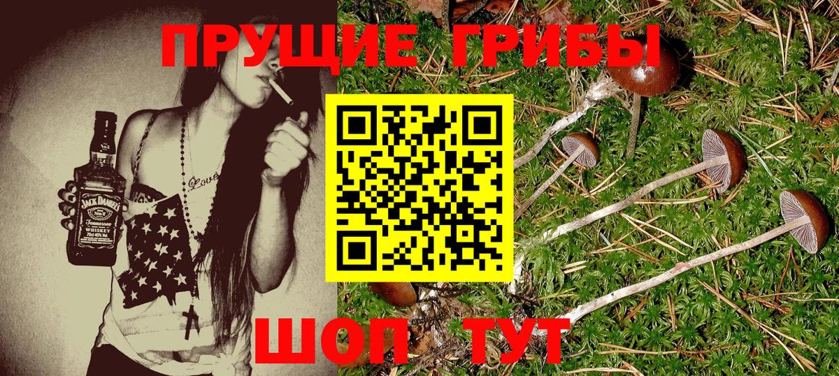 Новодвинск  Галлюциногенные грибы Cubensis  где можно купить наркотик  Псилоцибиновые грибы GOLDEN TEACHER  Вход с VPN 