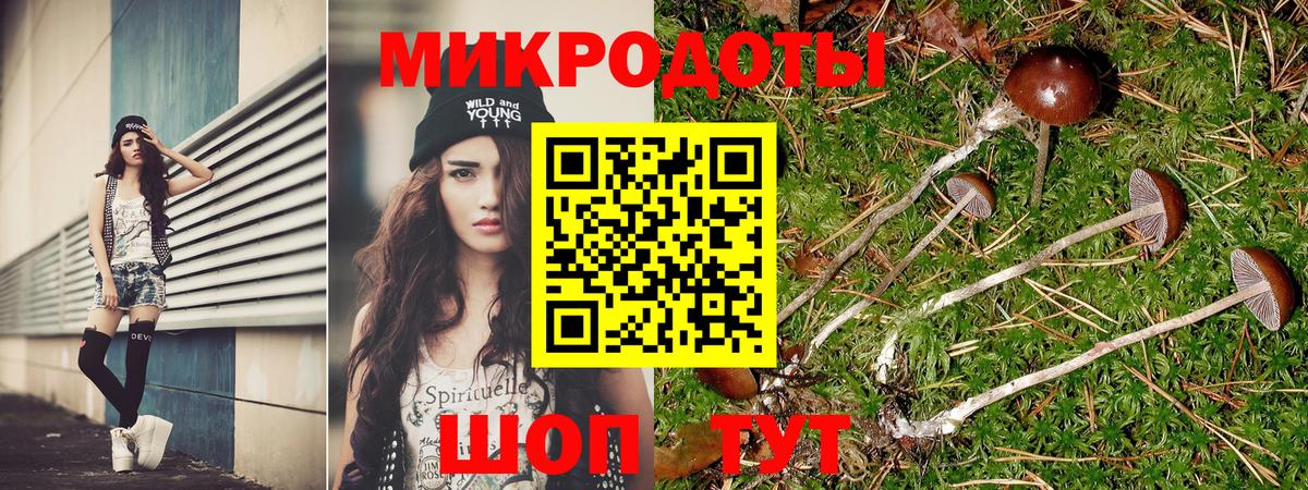 Галлюциногенные грибы Psilocybine cubensis Новодвинск